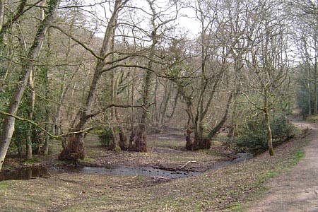 A small brook runs the length of Hodder's Combe