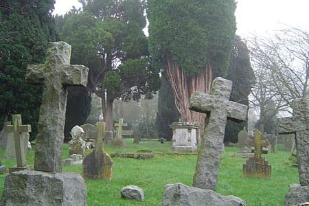 Salwarpe churchyard with ancient trees