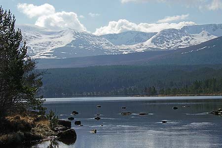 The Cairngorms from Loch Morlich