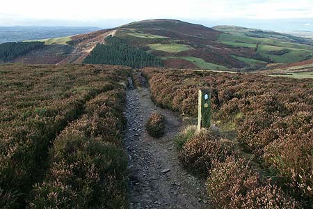 Descending back to the start from the flank of Moel Arthur