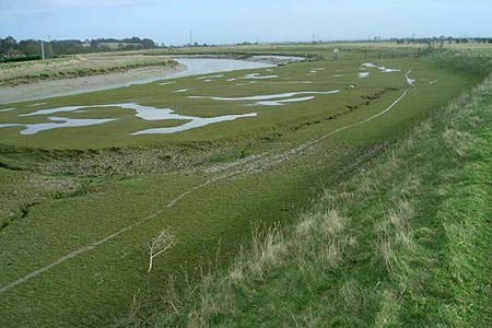 River Rother mudflats near Rye