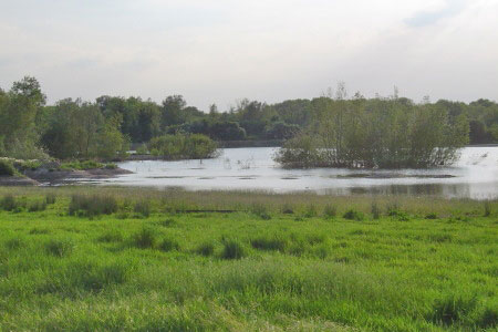 Gravel pit lakes near the River Kennet
