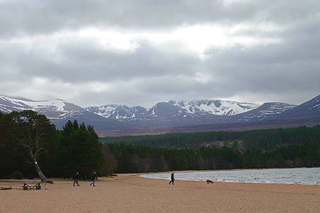 Sandy beach on Loch Morlich