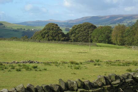 View towards Flasby Fell