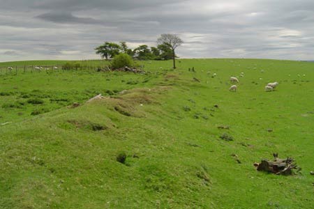 An eroded section of Offa's Dyke