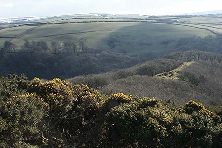 The descent from Countisbury to Watersmeet