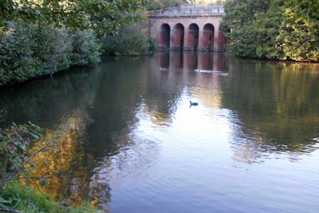Viaduct Pond, Hampstead Heath