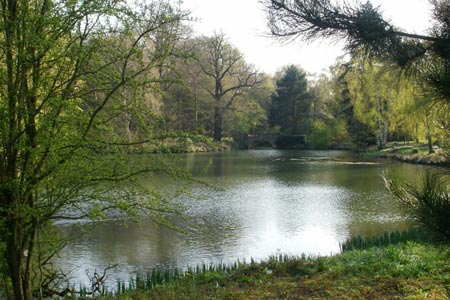 Wood Pond, Hampstead Heath