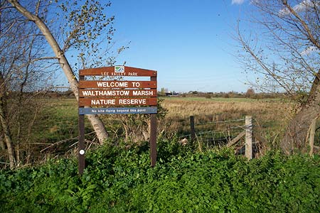 Looking back at Walthamstow Marsh Nature Reserve