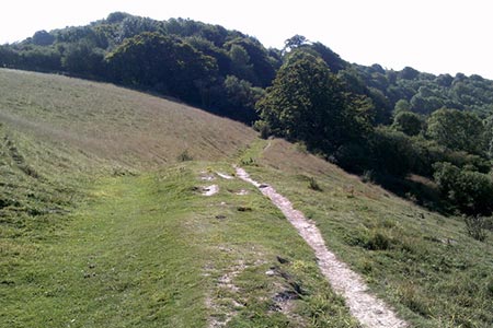 Path leading onto Pitstone Hill