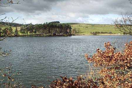 Photo from the walk - Tunstall Reservoir