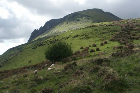 Ascent of Mynydd Mawr with Craig y Bera left