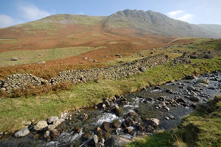 Pasture Beck with Gray Crag in the background