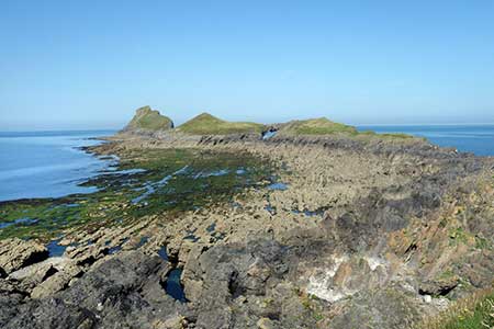 Photo from the walk - Worms Head from Pilton Green