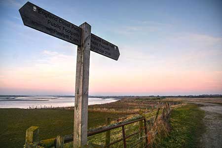 Sedgemoor : England Coast Path