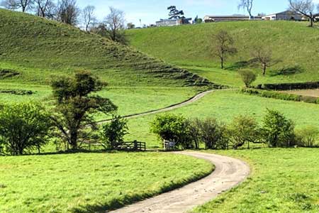 Pasture near North Grimston