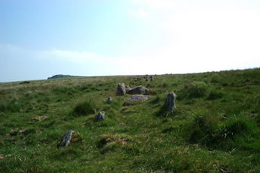The stone rows near Hart Tor