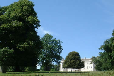Saltram House & collection of paintings by Sir Joshua Reynolds