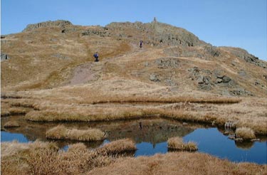 Summit of Place Fell reflected in a small tarn