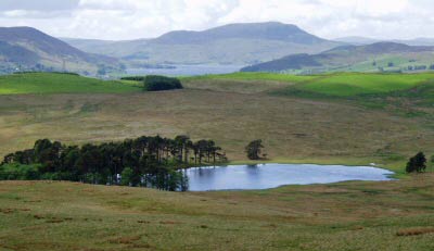 View of Llyn Maen Bras & Llyn Celyn from Moel Emoel
