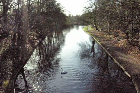 The Grand Union Canal, Cassiobury Park, Watford