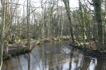 River Gade flowing through Cassiobury Park, Watford