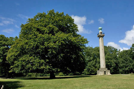 The Bridgewater Monument, Ashridge Estate