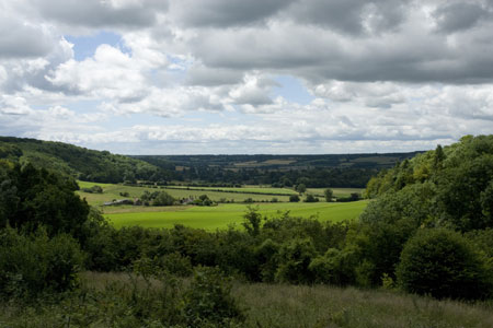 Buckinghamshire countryside near Duncombe Farm