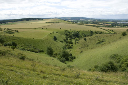 Looking down into Incombe Hole from the Ridgeway