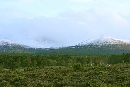 The Northern Corries from the Rothiemurcus Forest