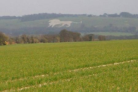 White lion carved into the hillside near Ivinghoe Beacon