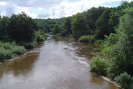 A brimming River Severn