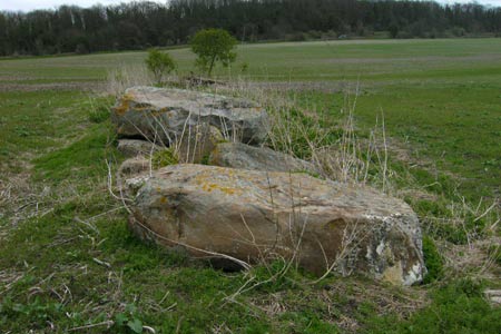 The Coffin Stone near Great Tottington Farm