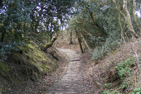 Part of the Witton Weavers' Way near Tockholes
