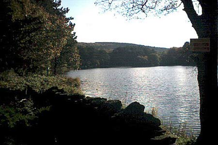 Roddlesworth reservoirs and autumn color