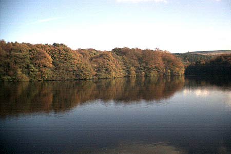 Autumn tints at Roddlesworth reservoirs