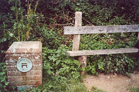 Bench near Annington where Downslink meets South Downs Way