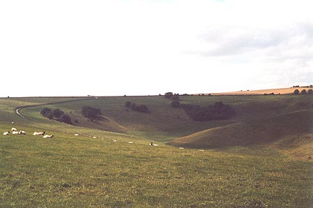 Steyning Bowl is located just off the South Downs Way