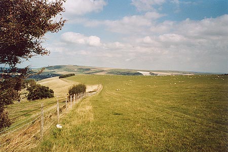 Looking back across the huge field on Annington Hill