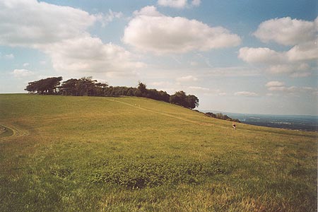 Chanctonbury Ring showing the route of the South Downs Way