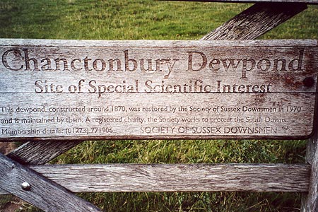 Information sign about the dewpond near Chanctonbury Ring