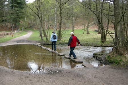 The stepping stones in the Sherbrook Valley, Cannock Chase