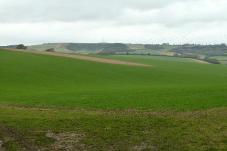 North Wessex Downs view towards Walbury Hill