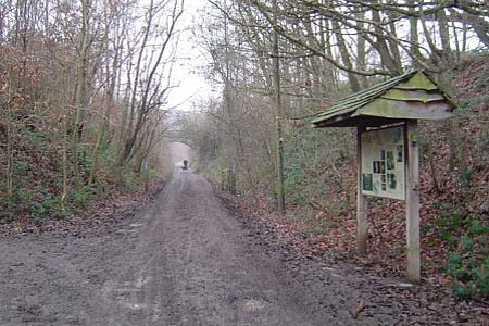 Parking area in Wyre Forest National Nature Reserve