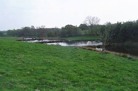 A series of pools ahead near Sinton Green