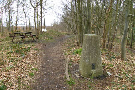 The summit of Holly Hill