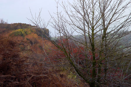 Cocking Tor seen from the footpath at Ravens nest