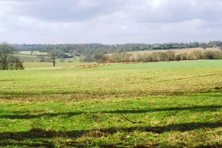 View between Hitch Wood and Stagenhoe