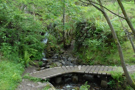 Footbridge in Wood Hill Wood, Tillicoultry