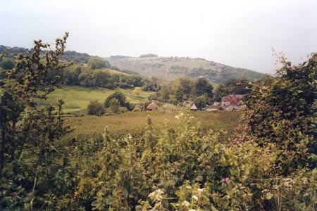 View from Sussex Border Path to Saddlescombe farm